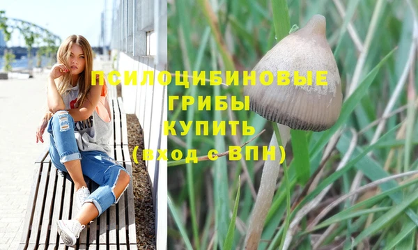 гидра Покров