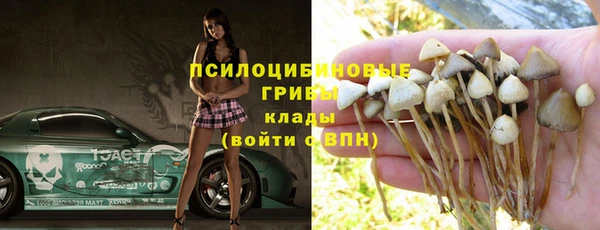 гидра Покров