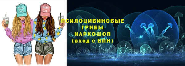 СК Покачи