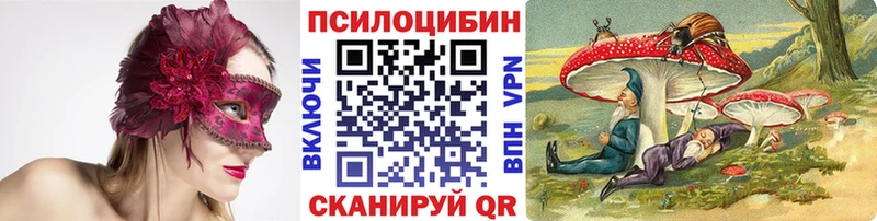 Псилоцибиновые грибы Cubensis  Новое Девяткино 