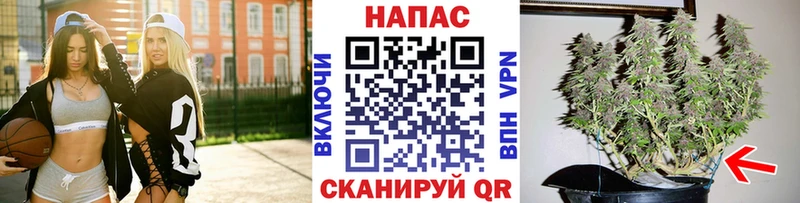 хочу наркоту  Новое Девяткино  Канабис план 